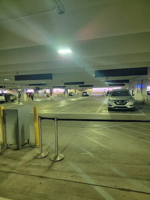 Dollar Car Rental - Chicago Midway Airport Picture 5