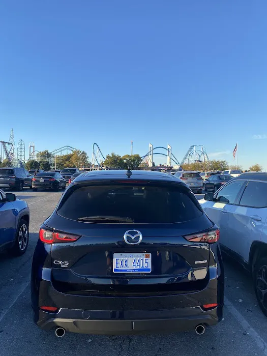 Alamo Rent A Car Picture 7