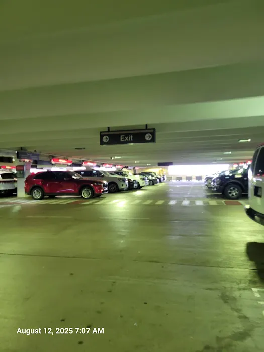 Budget Car Rental Picture 3