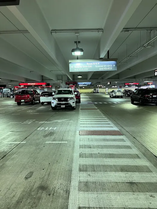 Avis Car Rental Picture 8