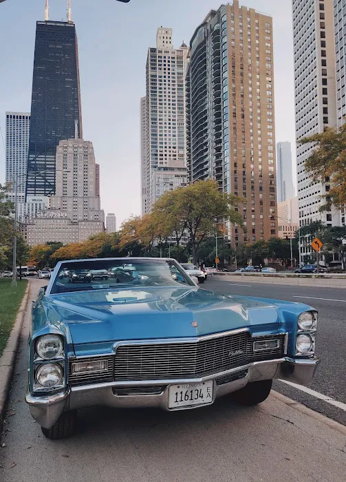 Vintage Soul__Car Rental Picture 9