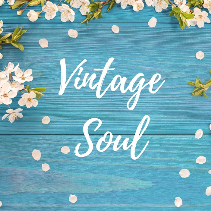 Vintage Soul__Car Rental Picture 4