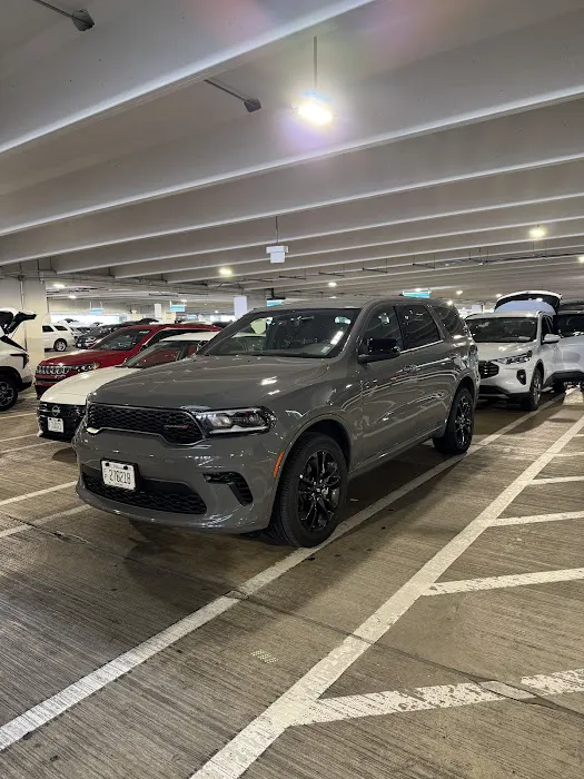 Alamo Rent A Car Picture 10