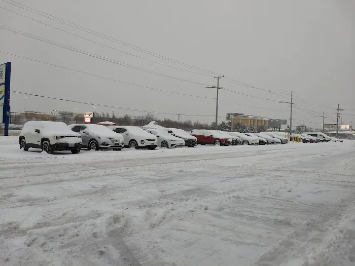 Payless Car Rental Picture 8