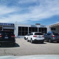 Payless Car Rental ico