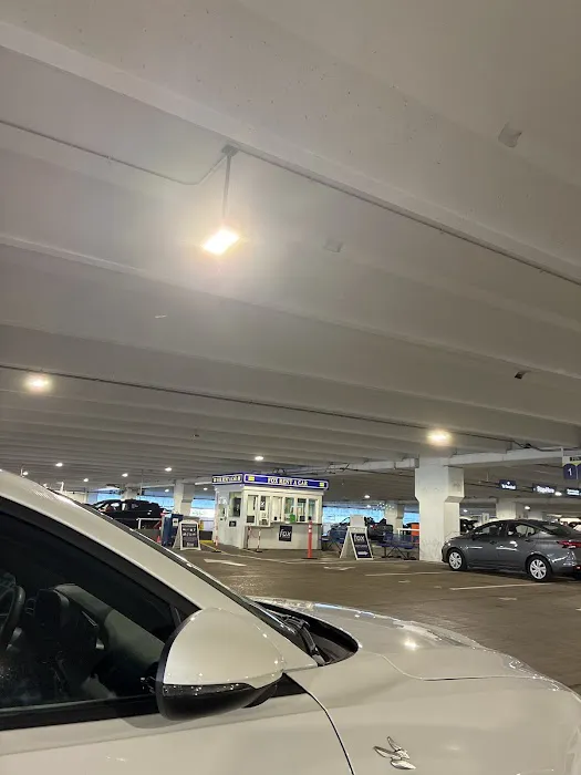 Fox Rent A Car Chicago O'Hare International Airport Picture 5