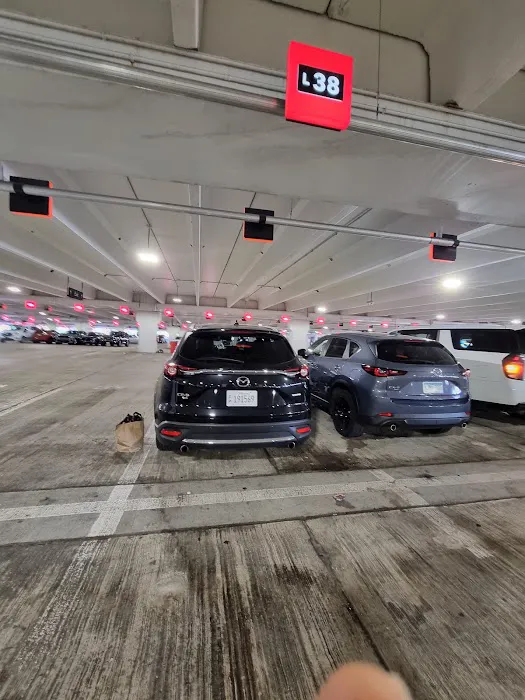 Avis Car Rental Picture 5
