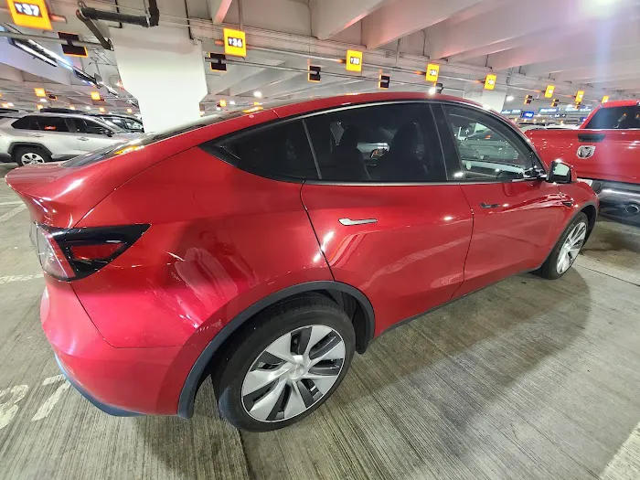 Avis Car Rental Picture 4