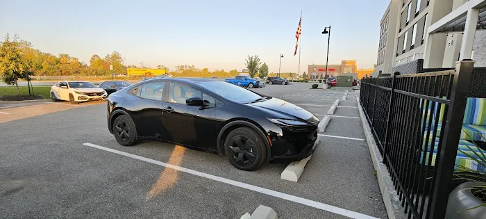 Avis Car Rental Picture 6