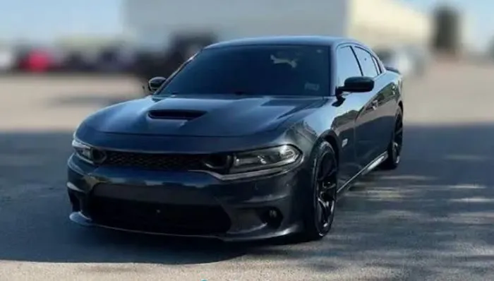 Budget Car Rental Picture 1