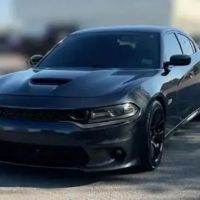 Budget Car Rental ico