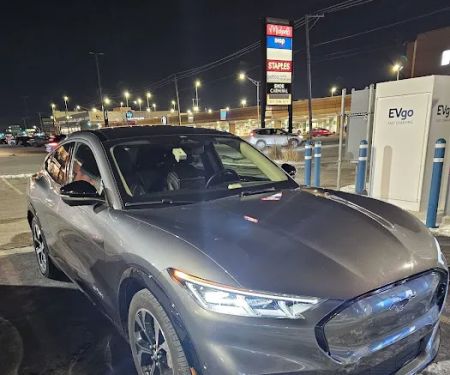 Avis Car Rental