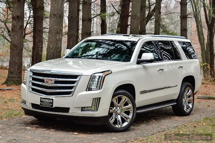 Platinum Vehicle Rentals Picture 1