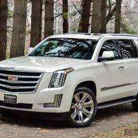 Platinum Vehicle Rentals ico