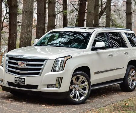 Platinum Vehicle Rentals
