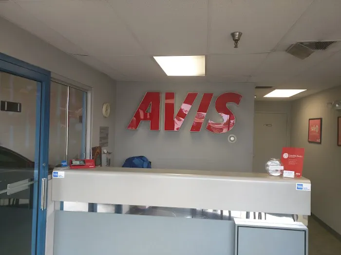 Avis Car Rental Picture 5
