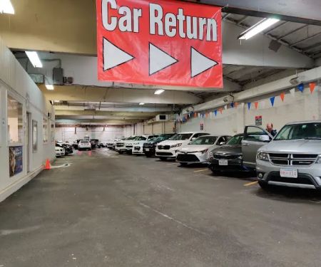 Avis Car Rental