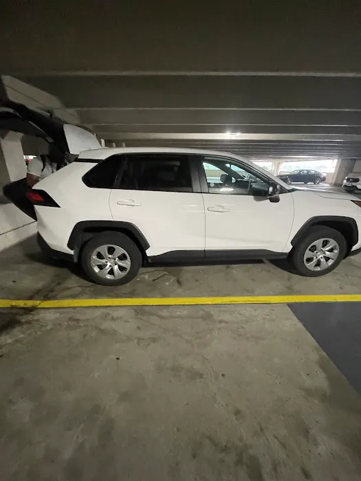 Budget Car Rental Picture 5