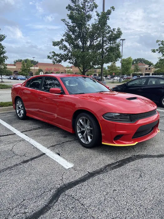 Budget Car Rental Picture 4