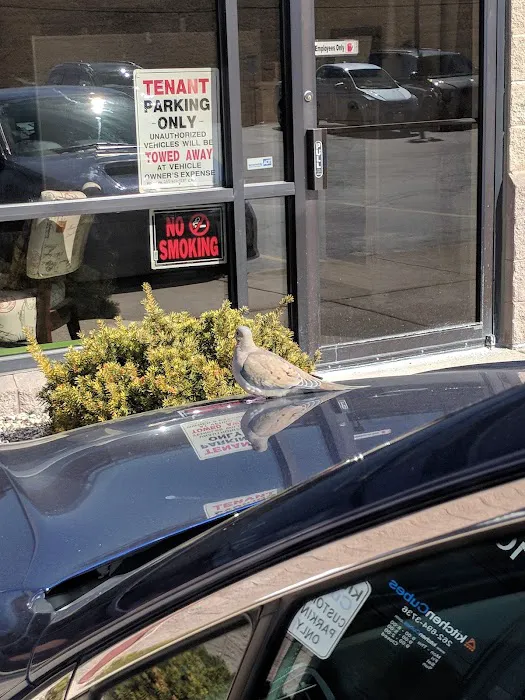 Enterprise Rent-A-Car Picture 4