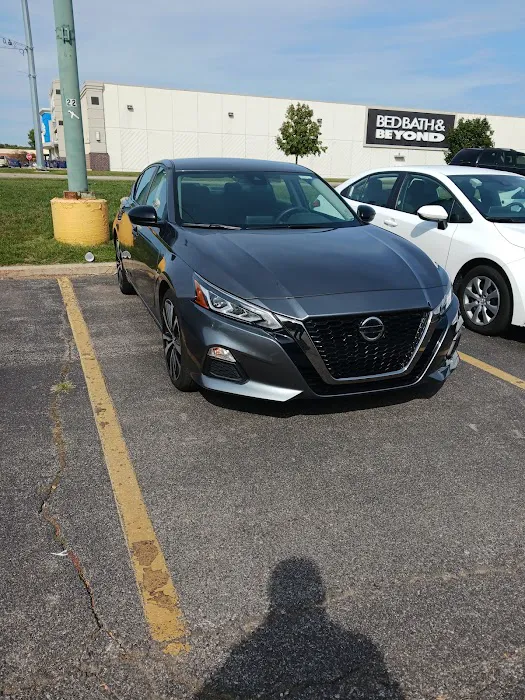 Avis Car Rental Picture 3