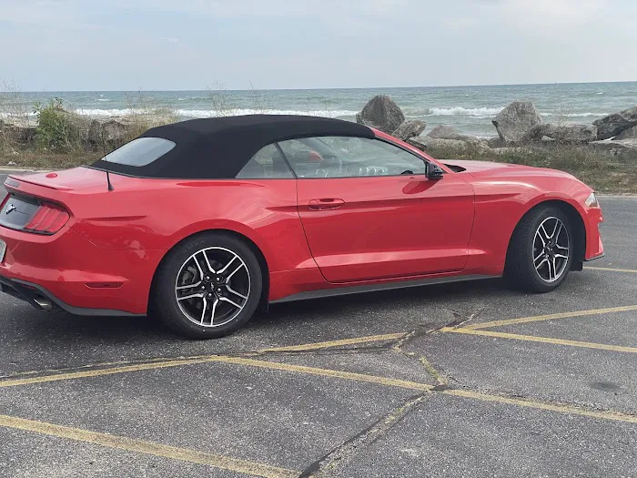 Alamo Rent A Car Picture 8