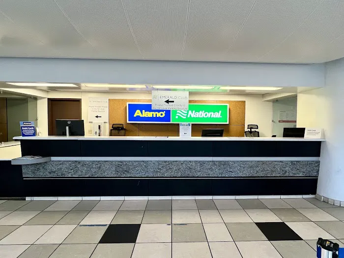 Alamo Rent A Car Picture 3