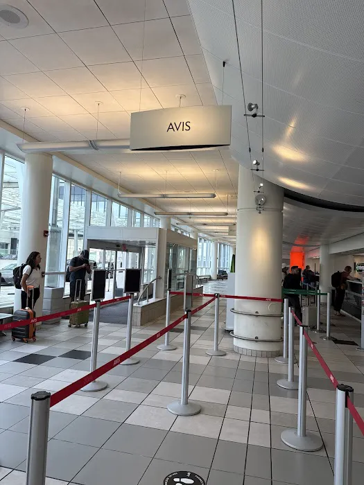Avis Car Rental Picture 4