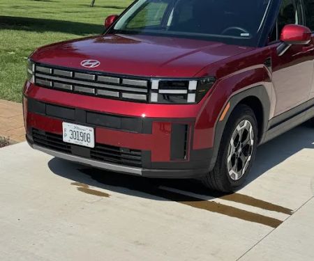 Budget Car Rental