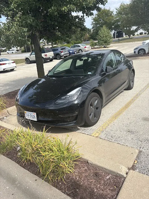 Hertz Car Rental - Rockford - Walton Street Picture 9
