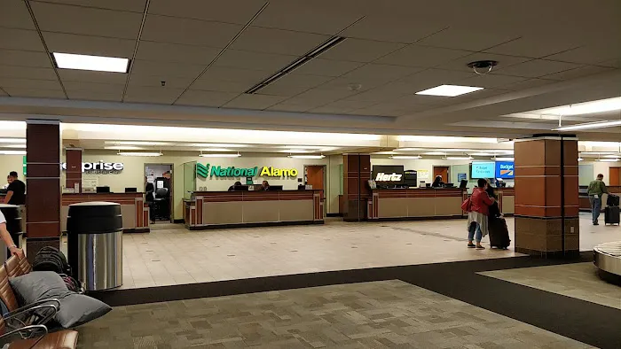 Alamo Rent A Car Picture 2