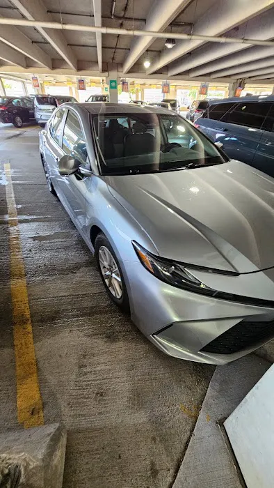 National Car Rental Picture 4