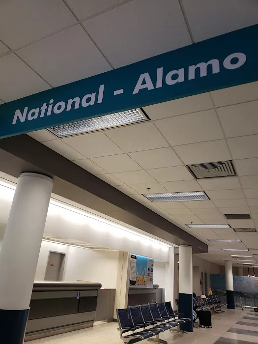 Alamo Rent A Car Picture 3
