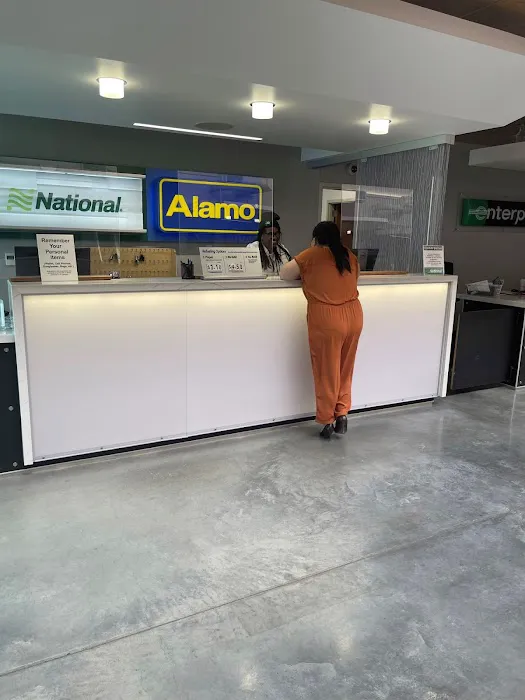 Alamo Rent A Car Picture 7