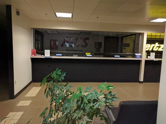 Avis Car Rental Picture 1