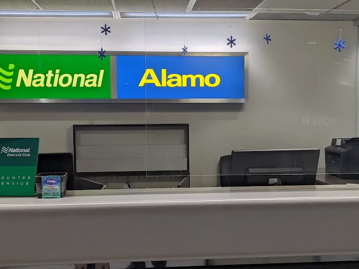 Alamo Rent A Car Picture 4