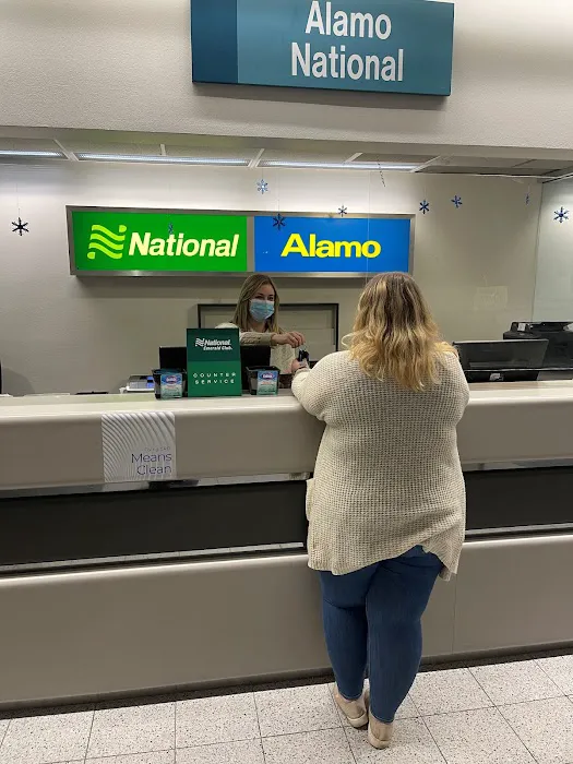 Alamo Rent A Car Picture 6