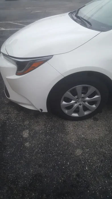 Budget Car Rental Picture 1