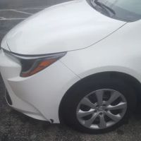 Budget Car Rental ico