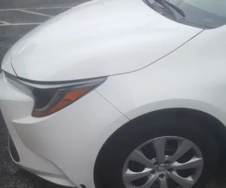 Budget Car Rental