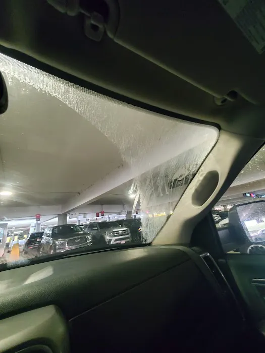 Avis Car Rental Picture 1