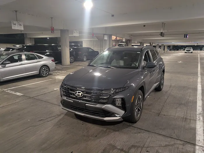 Avis Car Rental Picture 6