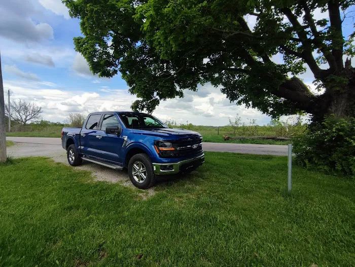 Alamo Rent A Car Picture 9