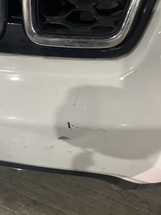 Payless Car Rental Picture 8