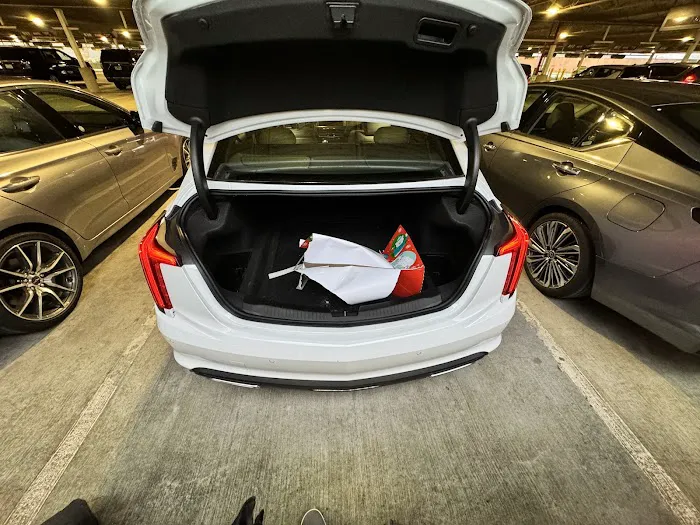 Avis Car Rental Picture 10