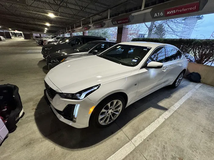 Avis Car Rental Picture 2
