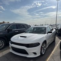 ACE Rent A Car ico