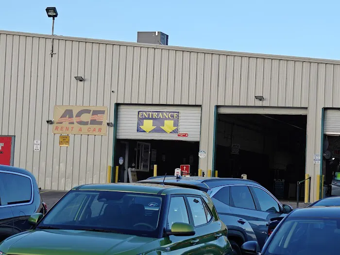 ACE Rent A Car Picture 6