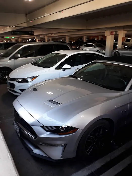 Avis Car Rental Picture 10