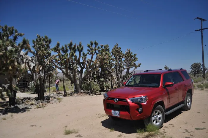 Avis Car Rental Picture 3